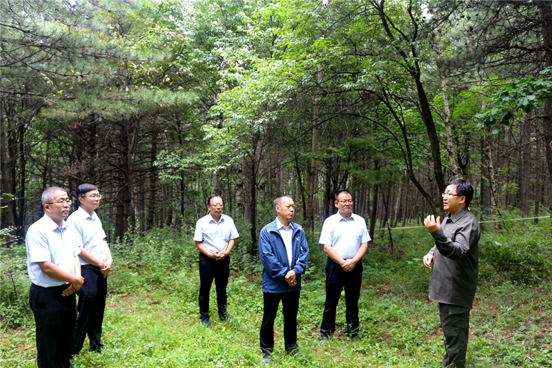 大同山林场最新新闻