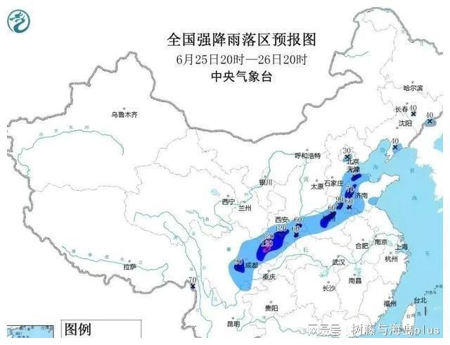 2024年12月 第279页