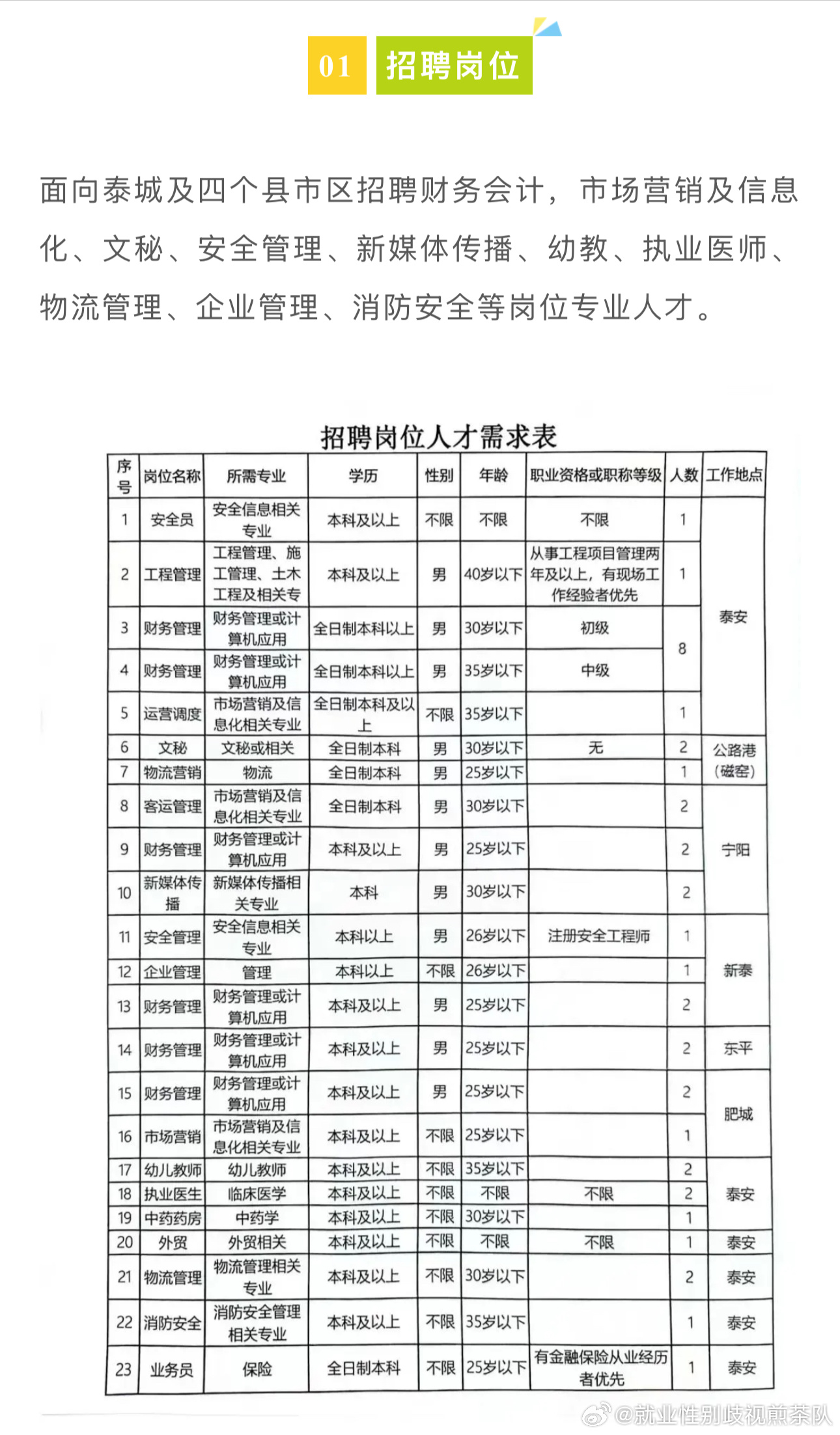 神木县统计局最新招聘启事