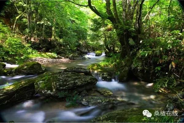 八大公山乡新项目，乡村振兴与生态旅游的新动力