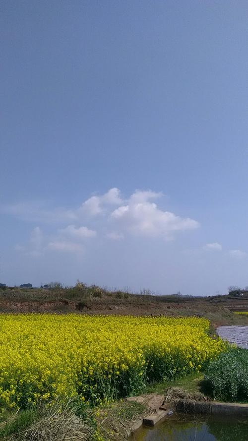 平圩镇天气预报更新通知